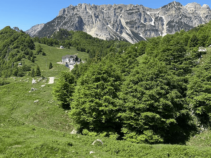 Anello di campogrosso